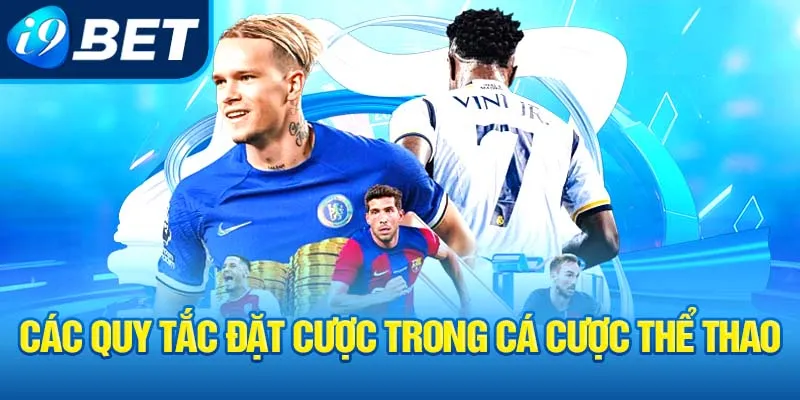 cac-quy-tac-dat-cuoc-trong-ca-cuoc-the-thao_32_11zon